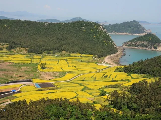 관매도의 아름다움