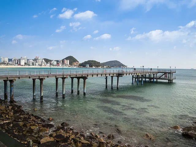 죽도공원에서 내려다본 바다