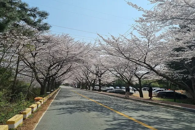 강진 풍경 이미지