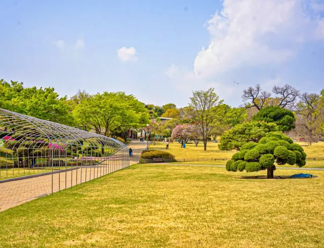 서부해당화와 함께하는 피크닉