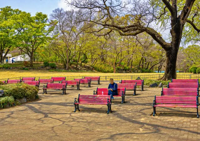 달성공원의 아름다운 서부해당화