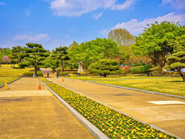 서부해당화의 활짝 핀 모습