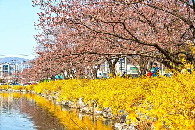 직지사의 봄 풍경