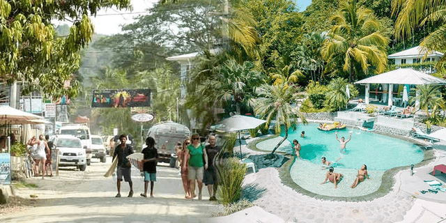 코스타리카의 열대 식물