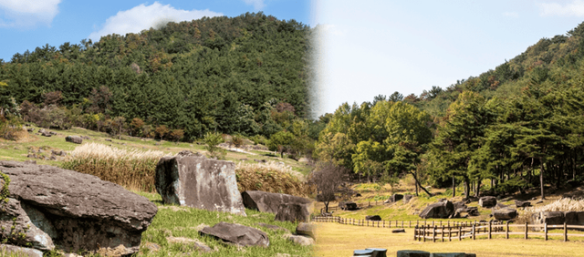 고창 고인돌 유적지