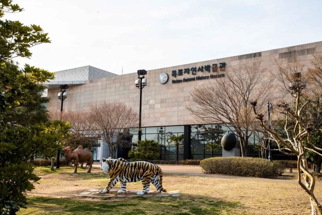 목포 자연사박물관