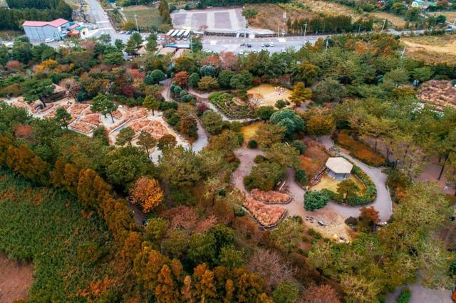 제주 휴애리 여름 수국축제
