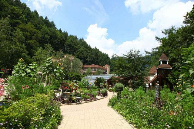 평창 허브나라 농원