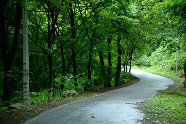 충남 보령 성주산 자연휴양림