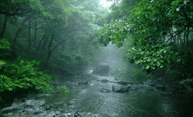 성주산 자연휴양림