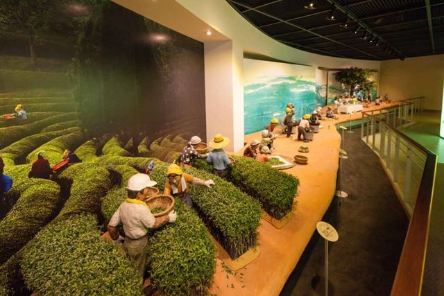 보성 한국차박물관