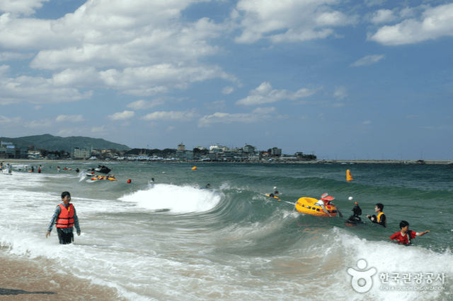 고래불해수욕장