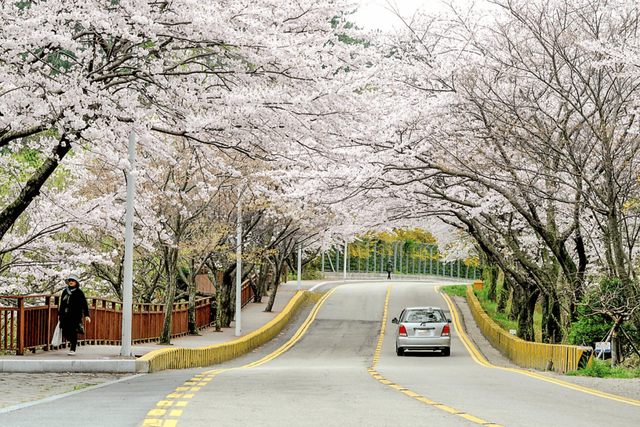 해운대 달맞이길