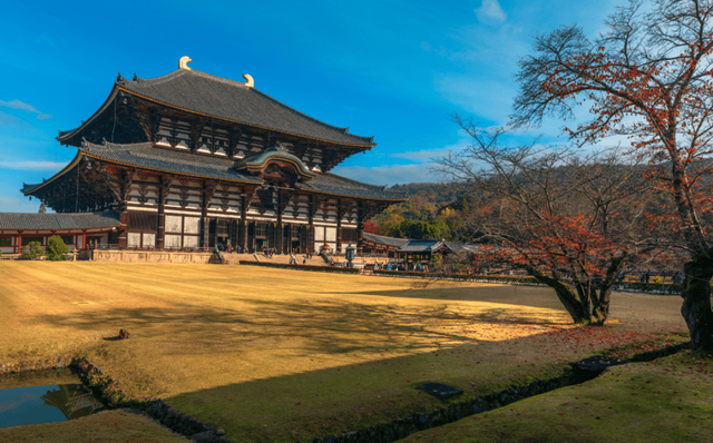 일본 도다이지
