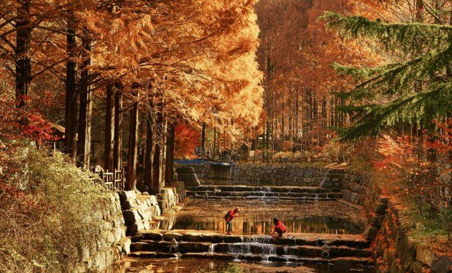 장태산 자연휴양림