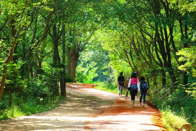 대전 계족산 황톳길
