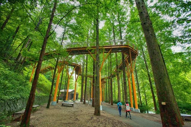 대전 장태산 자연휴양림