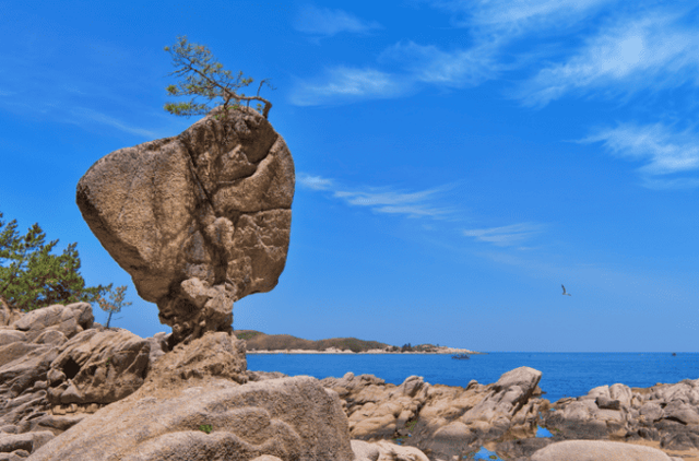 송지호 해안 서낭바위
