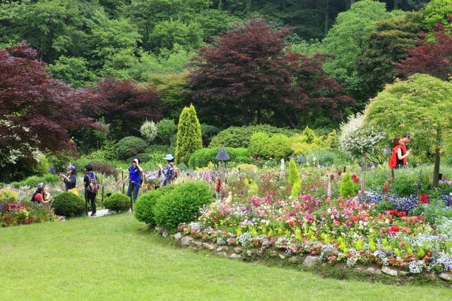 아침고요수목원