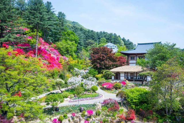 아침고요수목원