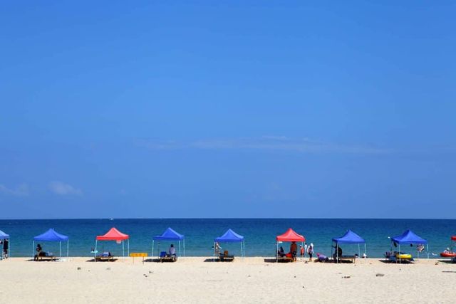 송지호해수욕장