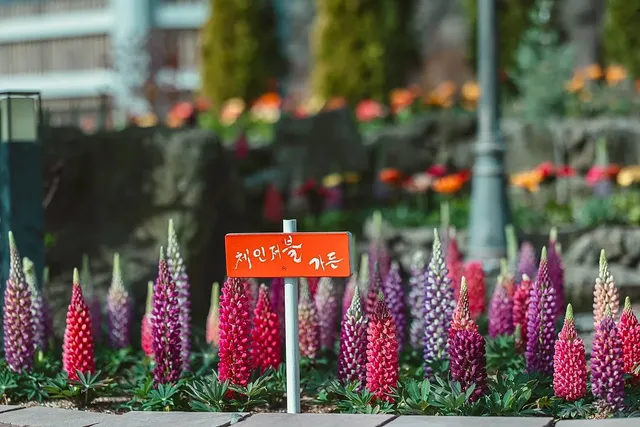 마노르블랑의 풍경