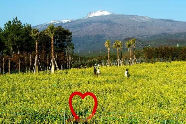 레드 앤 그린 카페