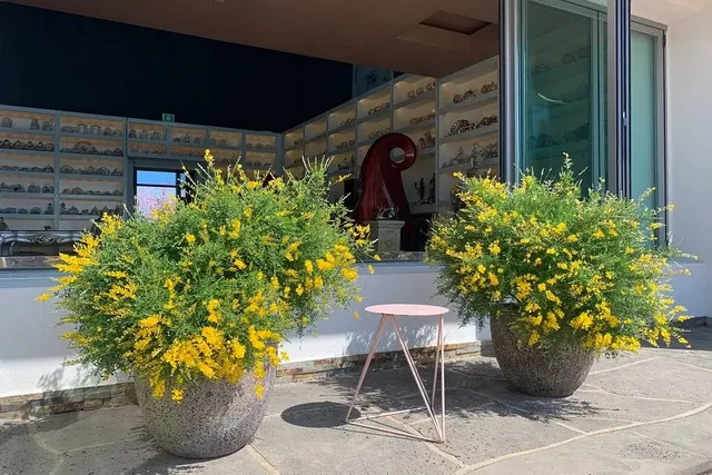 마노르블랑의 카페와 꽃 풍경