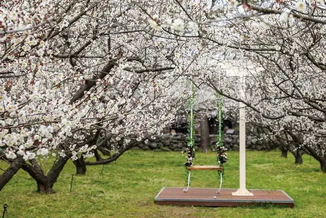 공원 내부 전경