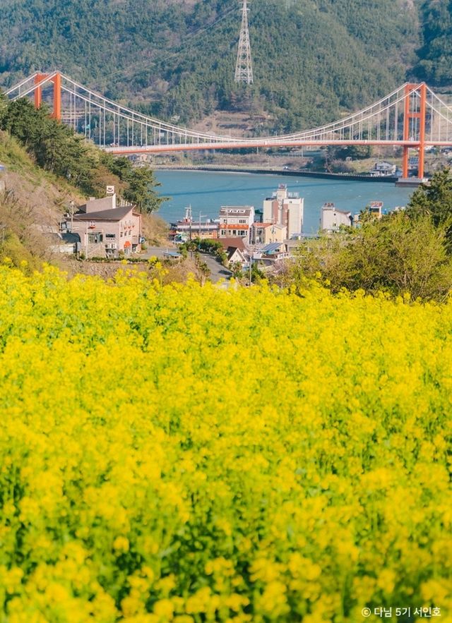 남해 벚꽃길의 아침