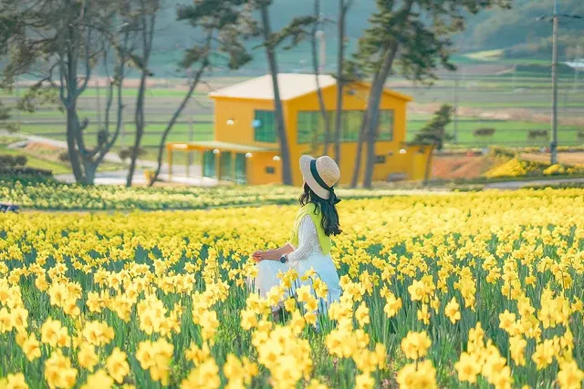 선도 여정의 끝