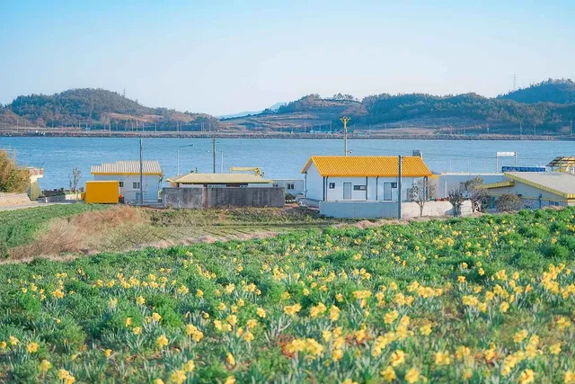 신안 선도 주변 경관