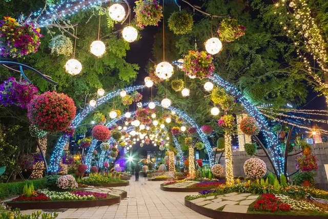 야간 조명이 어우러진 꽃 정원