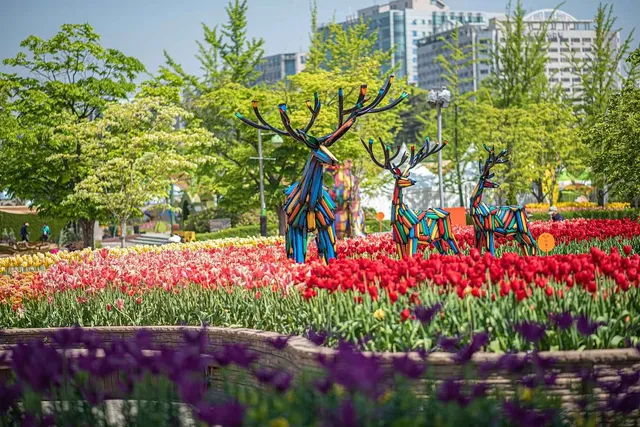 고양국제꽃박람회 전경