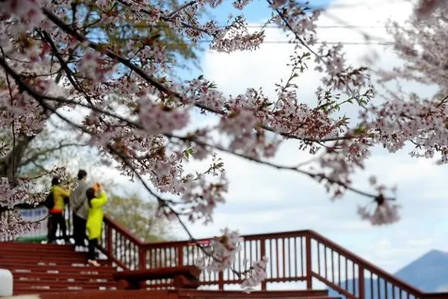 비짓 부산 제공 사진
