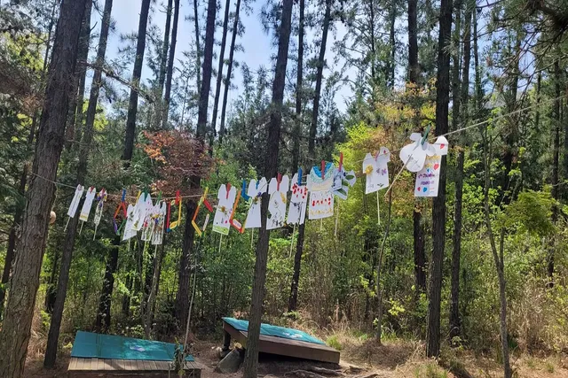 축제 전경 이미지