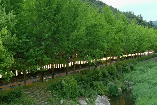 모악산 전경 이미지