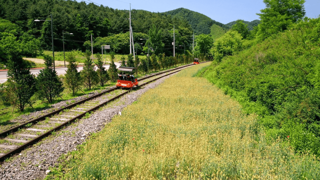 레일바이크 할인 예약