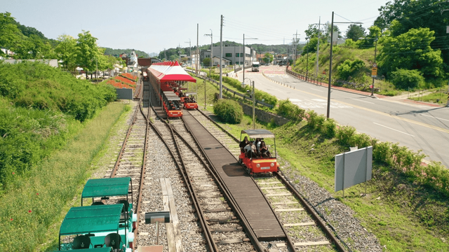 레일바이크 코스