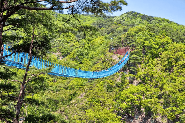 이 이미지는 대체 속성이 비어있습니다. 그 파일 이름은 image-1290.png입니다