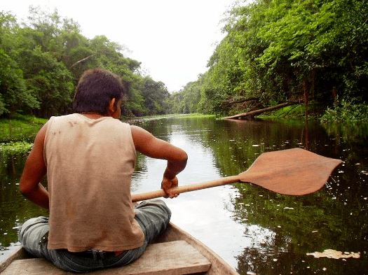 아마존 열대 우림