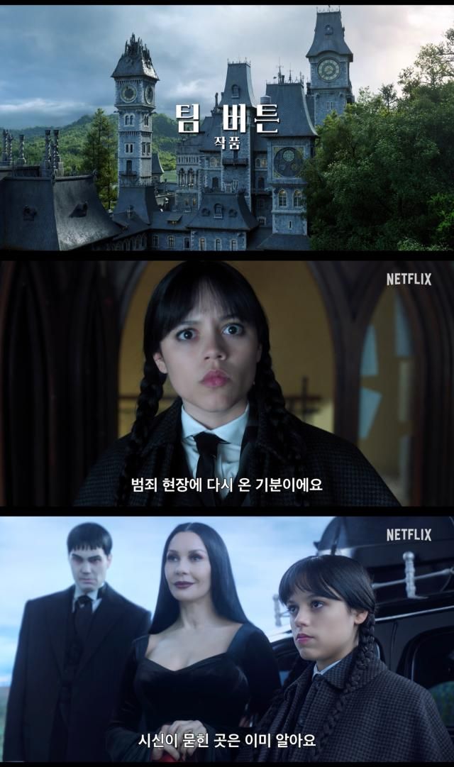 사진넷플릭스
