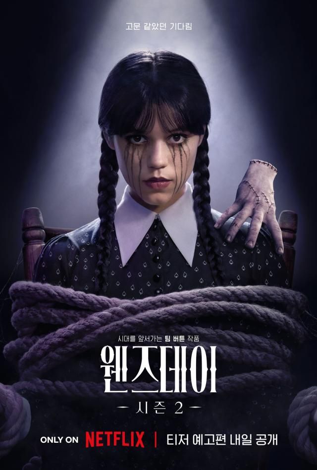 사진넷플릭스