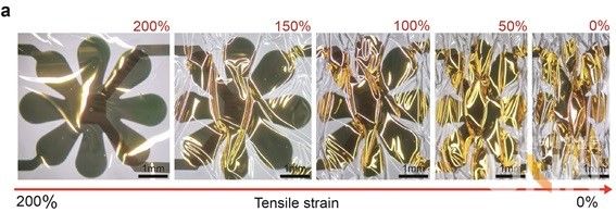 연구팀이 개발한 초박막 장치. 이 장치를 활용한 센서는 총 두께가 머리카락 두께의 100분의 1 수준으로, 얇고 가벼우며 유연하기에 웨어러블 기기 등에 널리 활용될 수 있다.