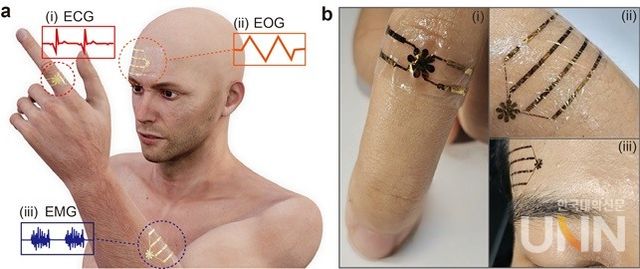 피부 부착형 장치를 통해 부위별로 측정할 수 있는 생리학적 신호의 개략도와 실제로 인체에 부착된 공동 연구팀 개발 장치 사진.