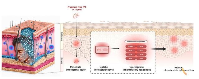 연구 관련 이미지.
