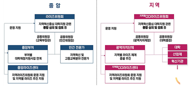 중앙-지역 라이즈 거버넌스 구조도 (자료=교육부)