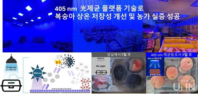 가시광 제균기술을 활용한 친환경 농산물 저장 기술 연구 성과
