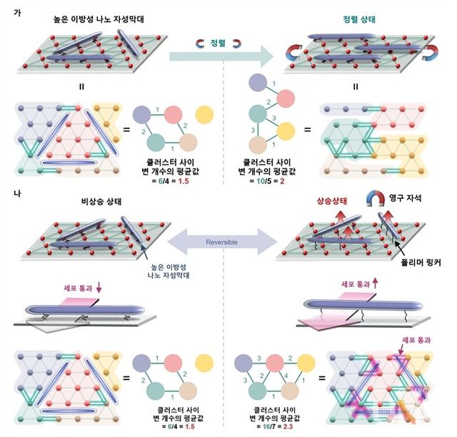 가역적 자성 조절을 이용한 그래프 이론 기반 리간드 네트워크의 모식도 .