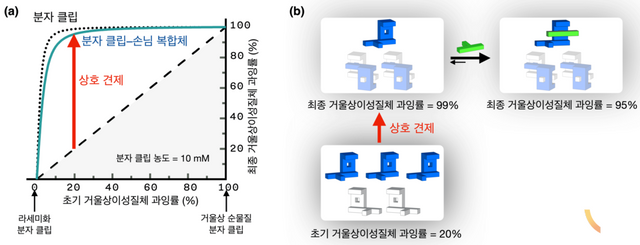 (a) 왼손잡이 분자와 오른손잡이 분자의 혼합물에서 상호 견제를 통해 카이랄성이 증폭되는 원리를 보여주는 모델. (b) 레고 모양 분자의 입체 선택적 결합을 통해 카이랄 정보가 증폭되고 전달되는 과정.